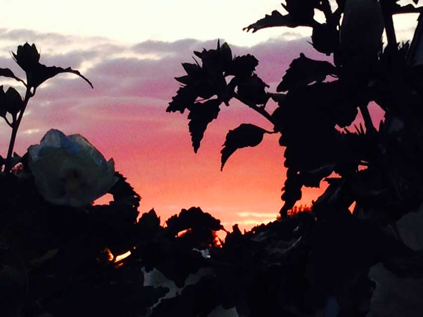 sunset in south buffalo ny